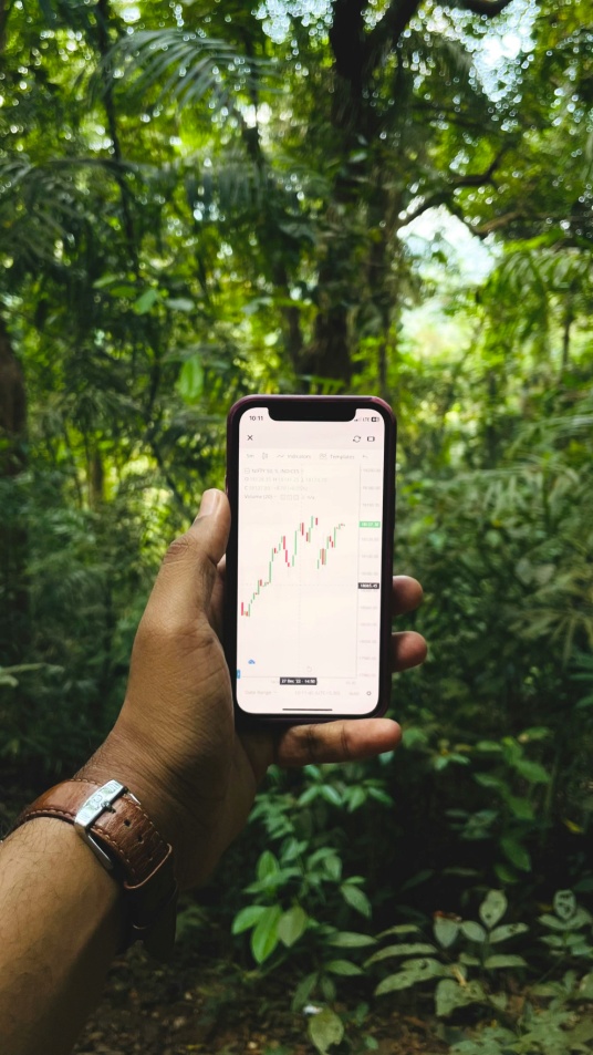 mobile wallet stablecoin access A person holding a smartphone displaying a digital wallet interface